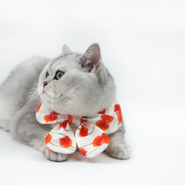Pet Fashion Harness Dress-Petboxok
