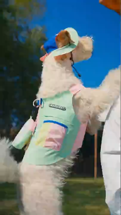 Outdoor Reflective Vest