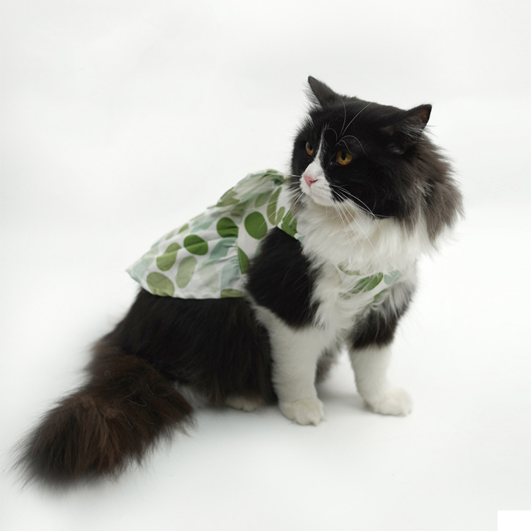 Pet Fashion Harness Dress-Petboxok