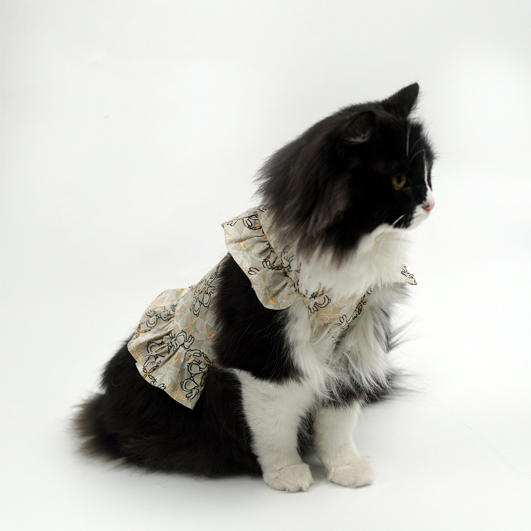 Pet Ruffled Dress-Petboxok