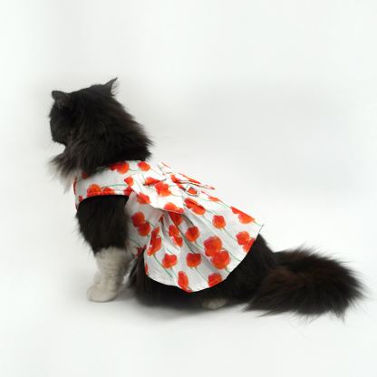 Pet Fashion Harness Dress-Petboxok