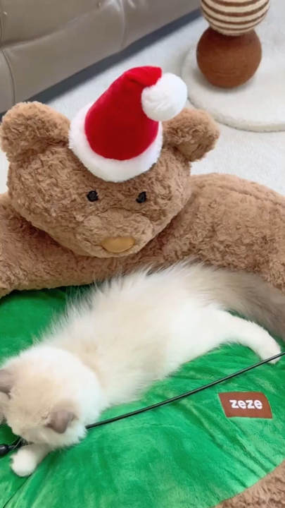 Cute Bear Pet Bed