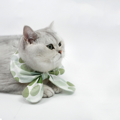 Pet Fashion Harness Dress-Petboxok