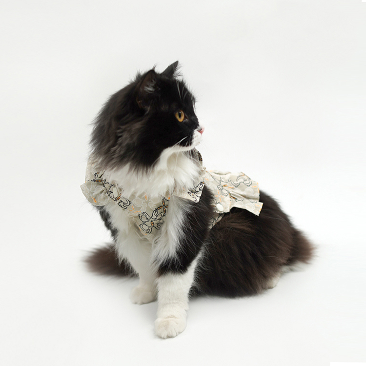 Pet Ruffled Dress-Petboxok