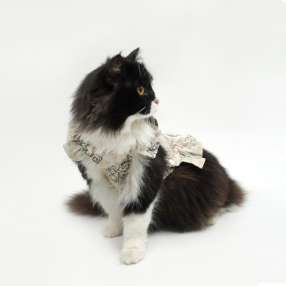 Pet Ruffled Dress-Petboxok