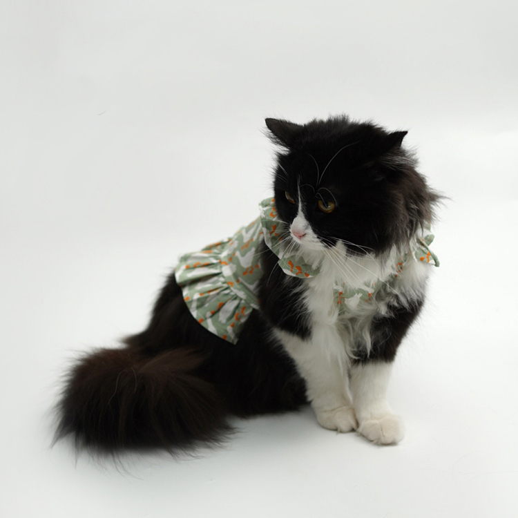 Pet Harness Dress-Petboxok