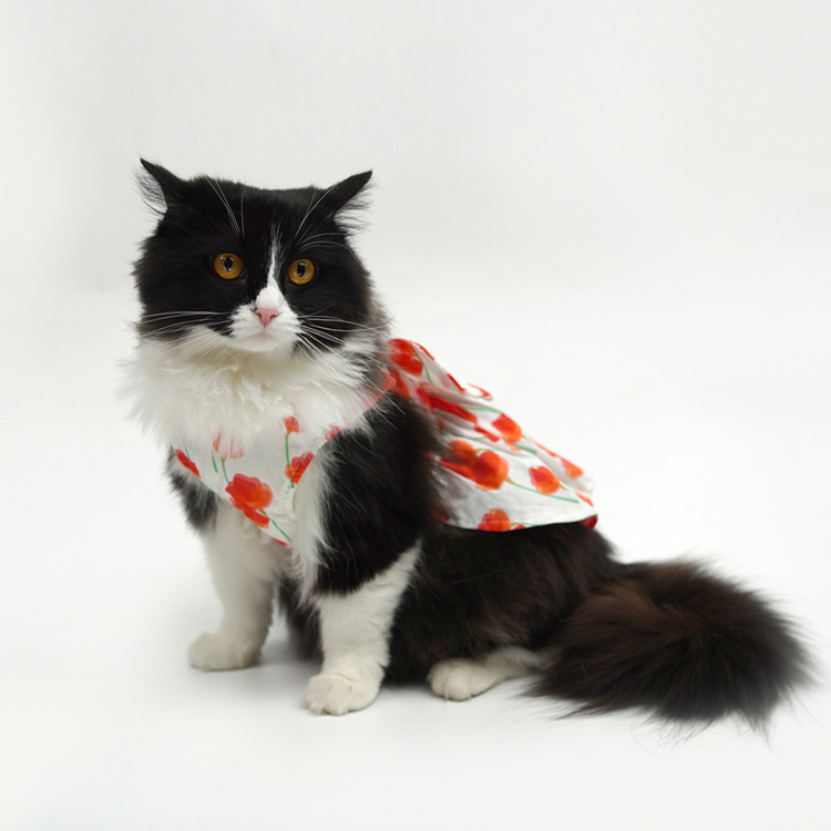 Pet Fashion Harness Dress-Petboxok