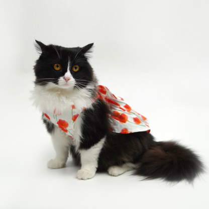 Pet Fashion Harness Dress-Petboxok