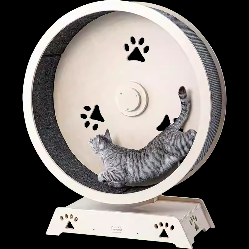 Cat Treadmill – Interactive Exercise Wheel for Indoor Cats-Petboxok