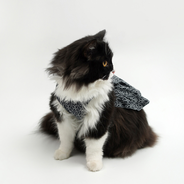 Pet Harness Dress-Petboxok