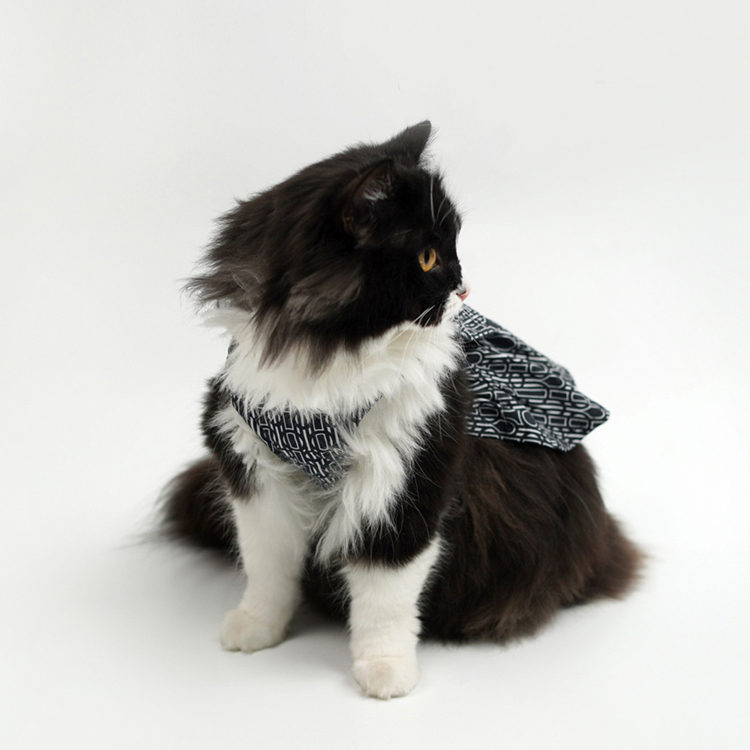 Pet Harness Dress-Petboxok