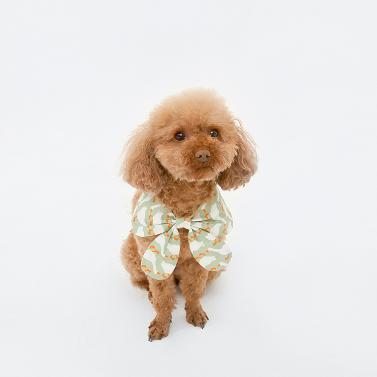 Pet Harness Dress-Petboxok