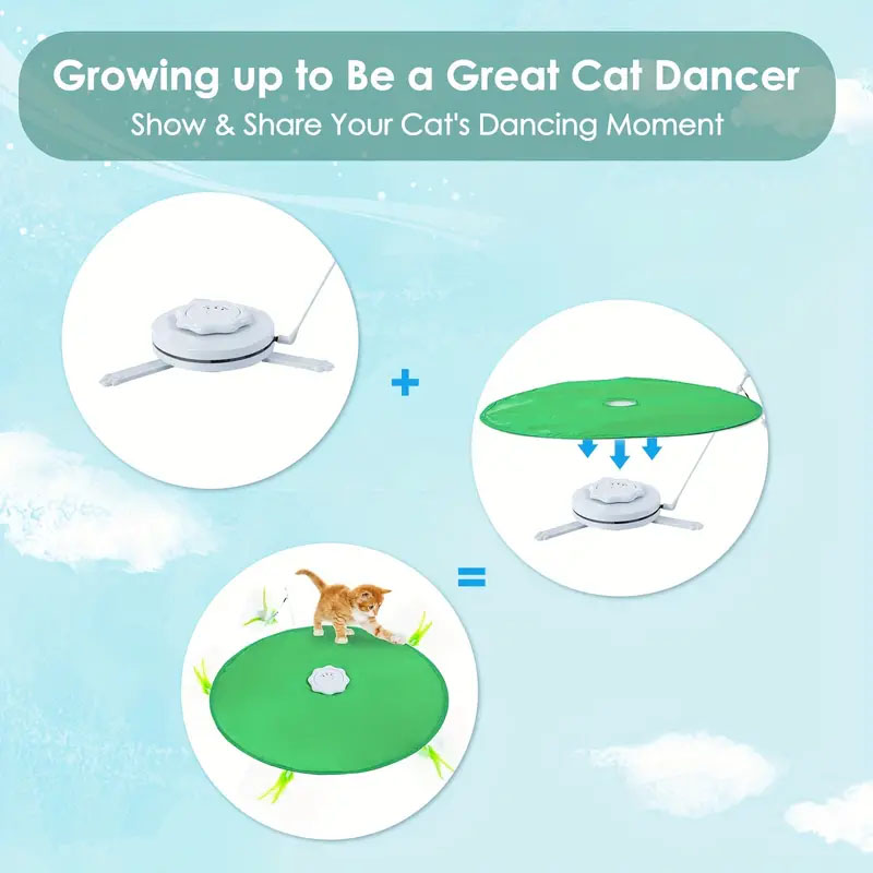 2 IN 1 INTERACTIVE CAT TOY-Petboxok