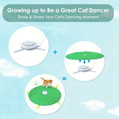 2 IN 1 INTERACTIVE CAT TOY-Petboxok
