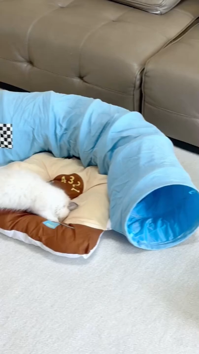 Cat Tunnel Bed 