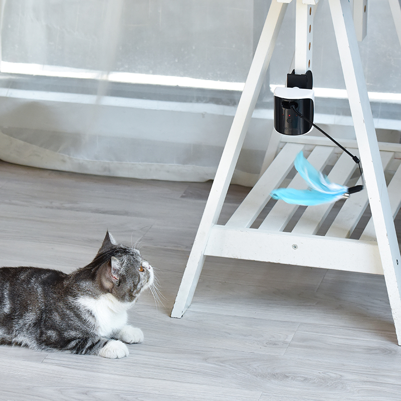 Laser Cat Teaser Toy