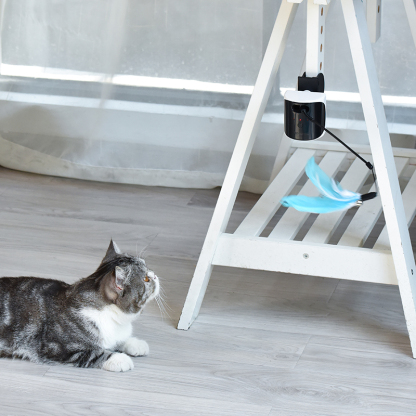 Laser Cat Teaser Toy