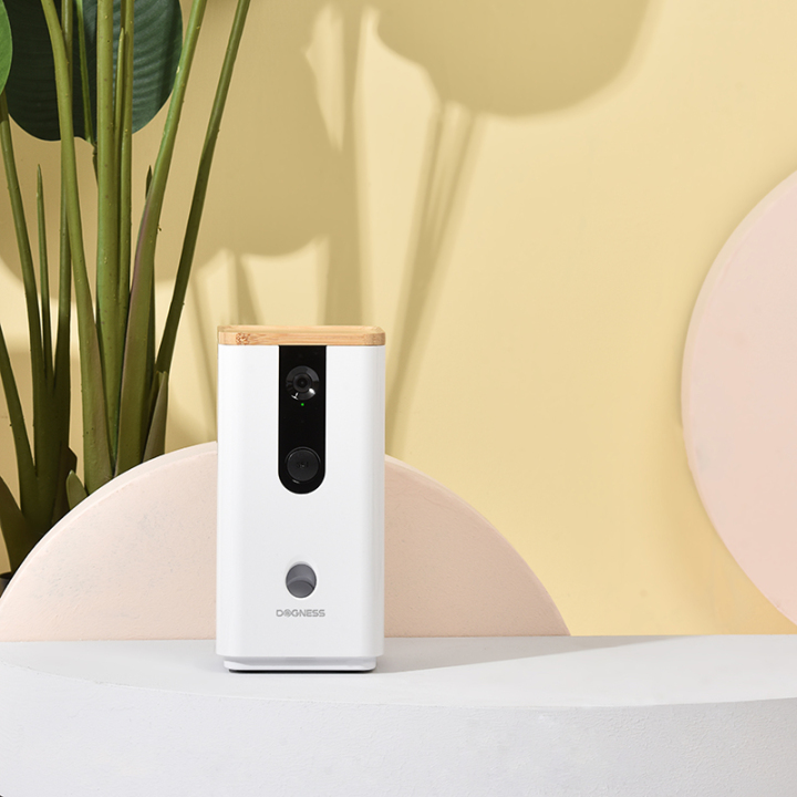 Smart feeder camera check-in for cats