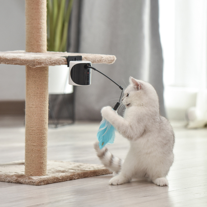 Laser Cat Teaser Toy