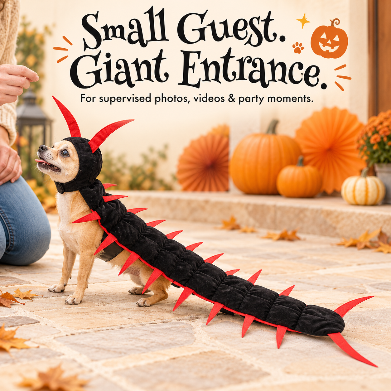 Giant Centipede Cat & Dog Halloween Costume | Full-Length Creepy-Crawly Pet Outfit