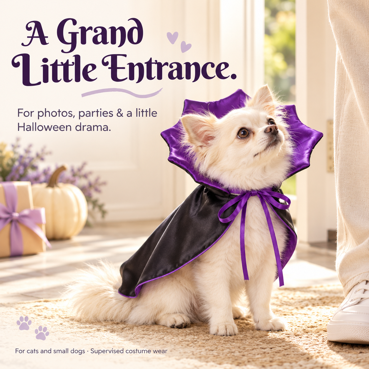 Violet Vampire Cat Cape | Purple Satin-Lined Halloween Cloak with Stand-Up Collar