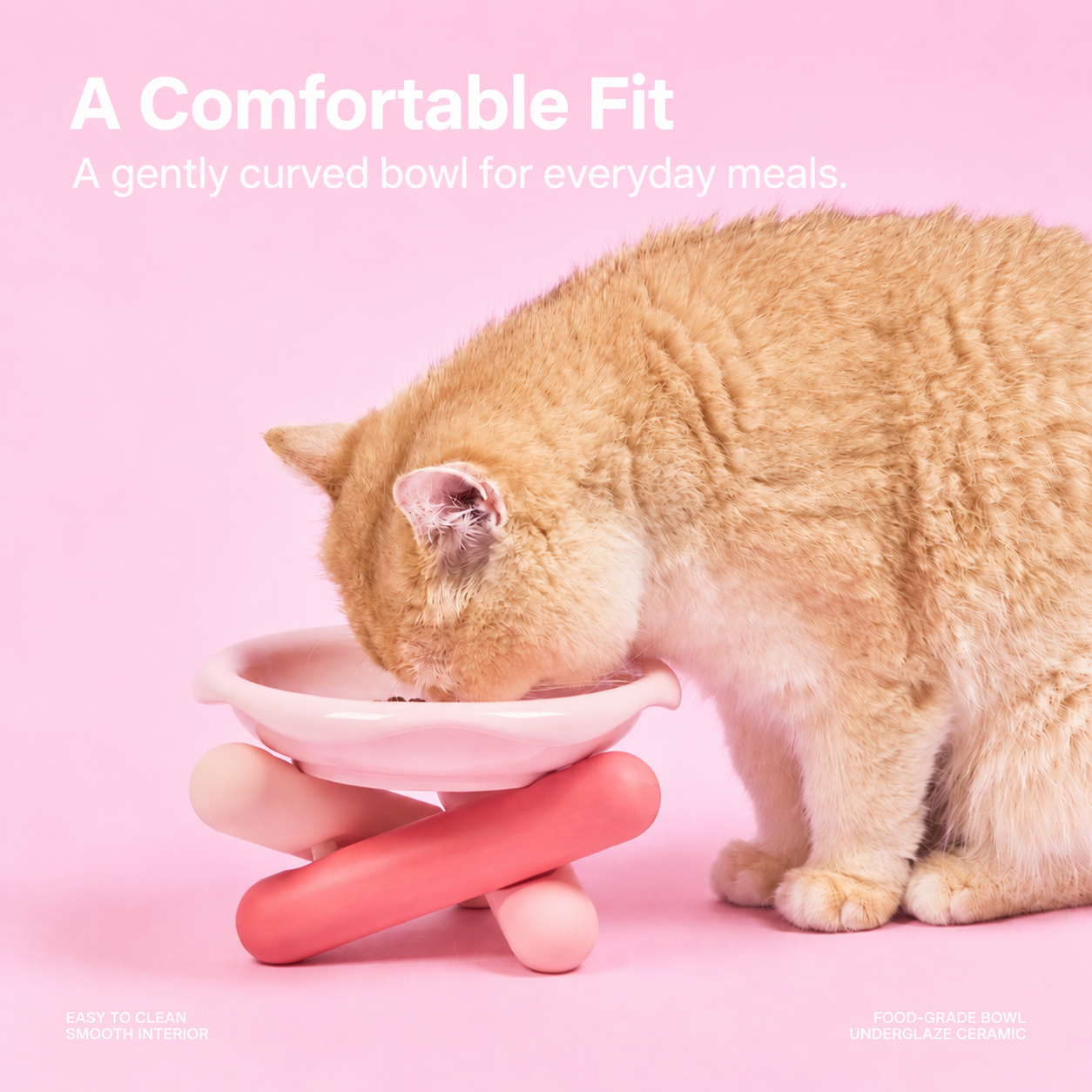 Kitten & Cat Cloud Elevated Ceramic Cat Bowl Set