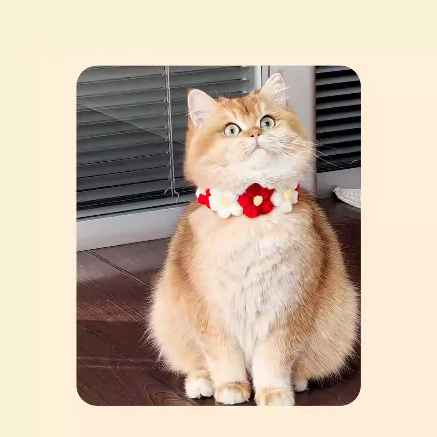 Polka Dot Pet Bow Tie