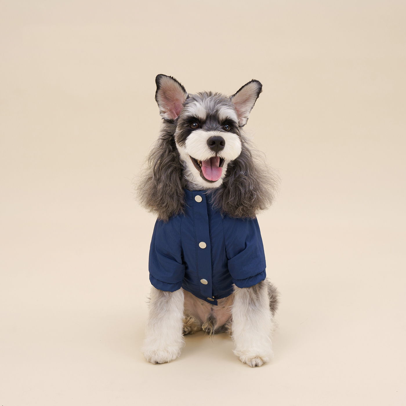 Waterproof Pet Jacket -Petboxok