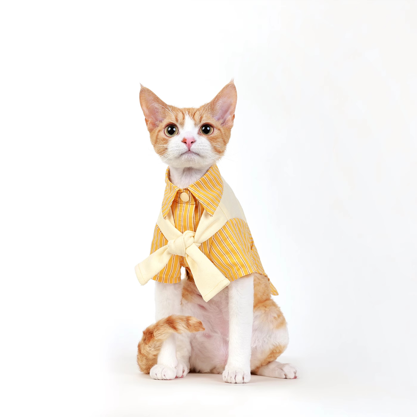 Striped Layered-Look Cotton Shirt-Petboxok