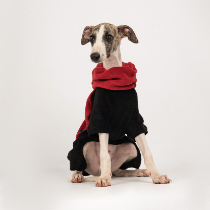 Lightweight Thermal Dog Cat Jacket with Adjustable Fit-Petboxok