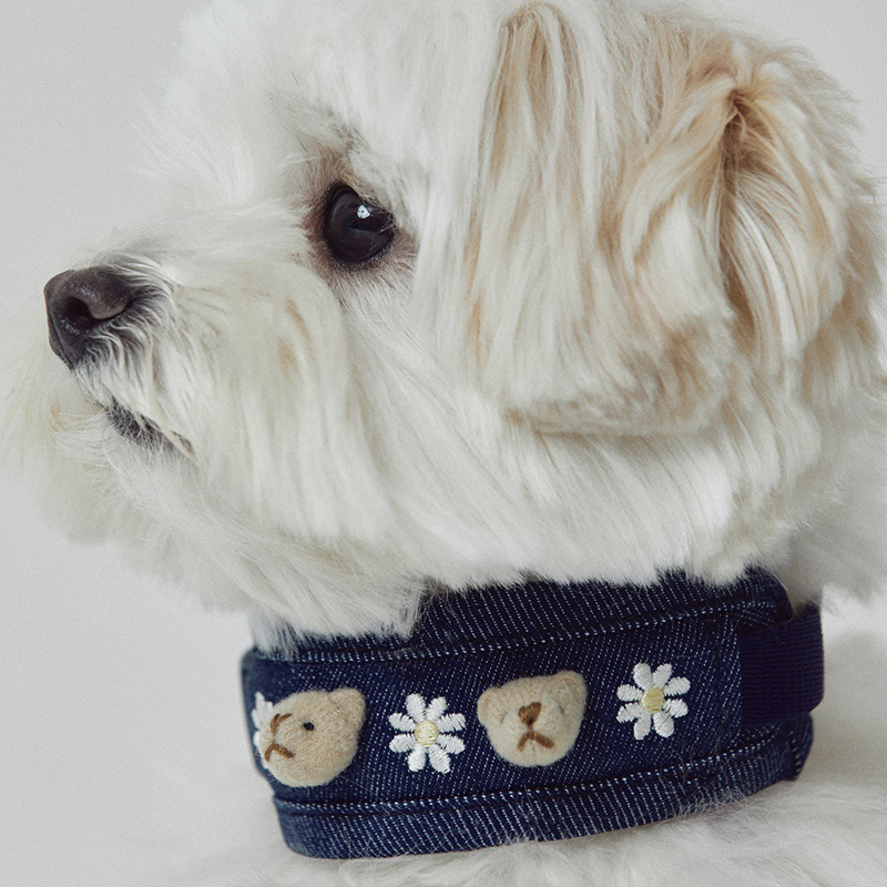 Cute Bear Embroidered Denim Dog Harness Set