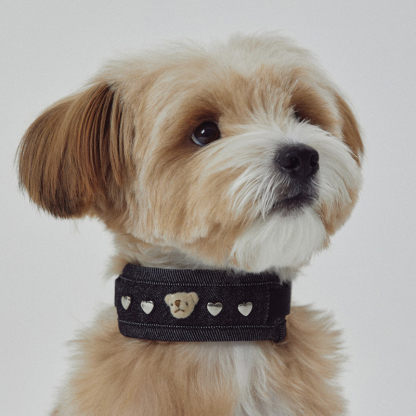 Cute Bear Embroidered Denim Dog Harness Set