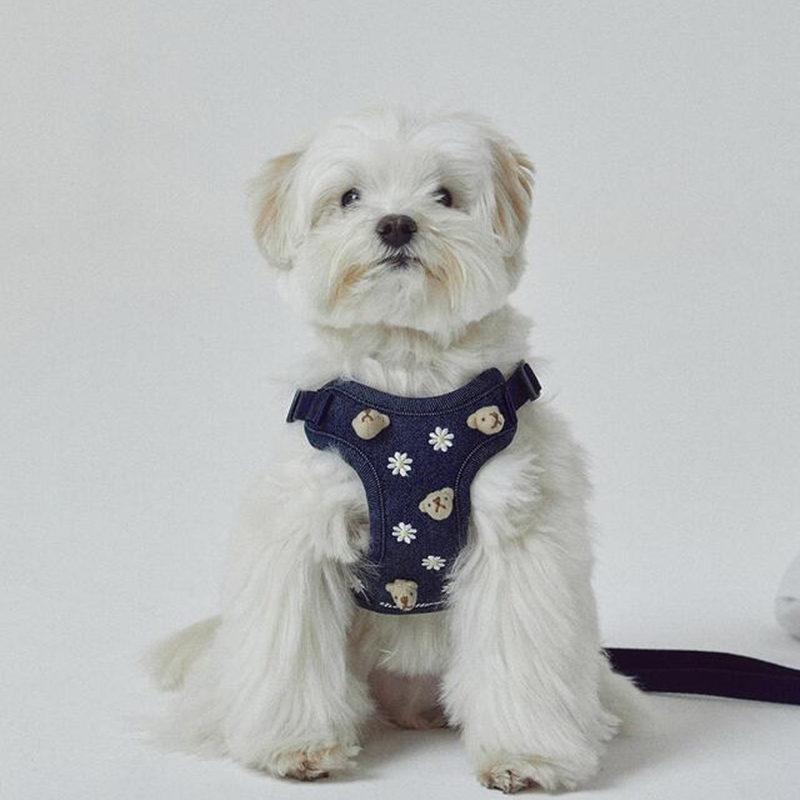 Cute Bear Embroidered Denim Dog Harness Set