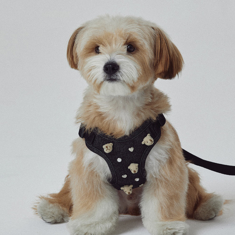 Cute Bear Embroidered Denim Dog Harness Set