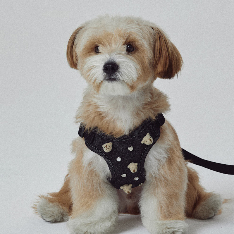 Cute Bear Embroidered Denim Dog Harness Set