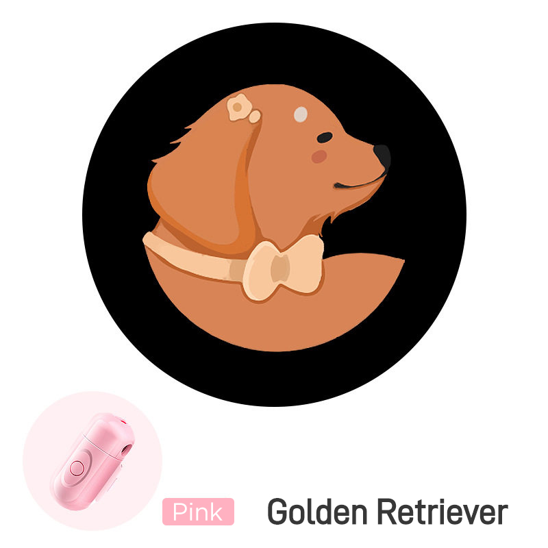 Night Dog Walking Light