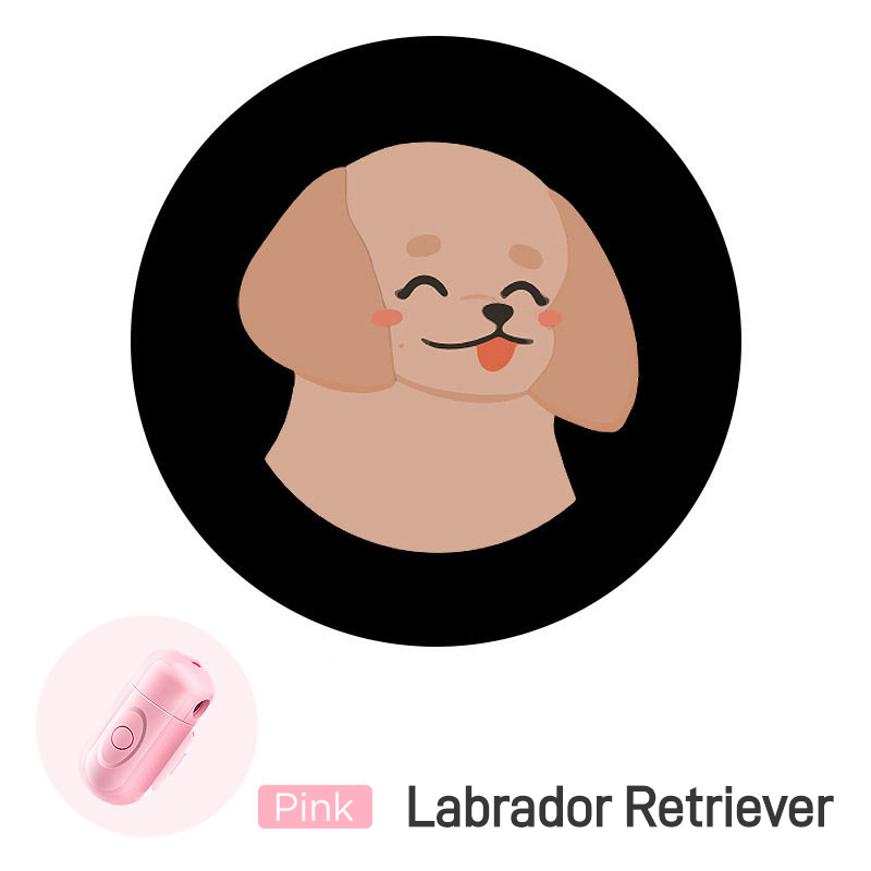 Night Dog Walking Light