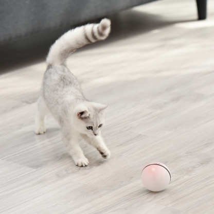 Cat Rolling Mint Toy