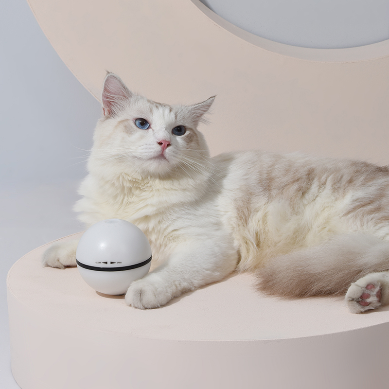 Cat Rolling Mint Toy