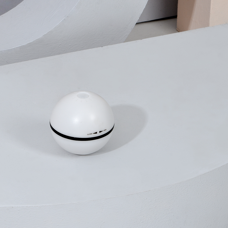 Cat Rolling Mint Toy