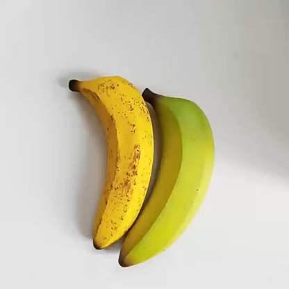 Pet Chew Toy with Noise Maker