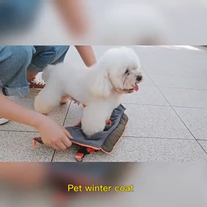 Winter pet cotton coat