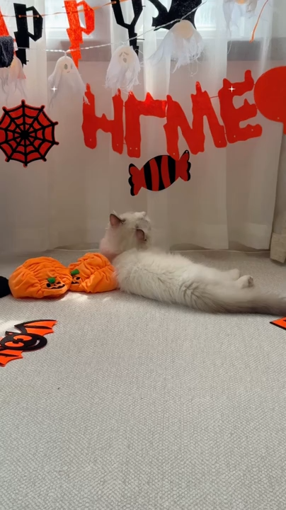 Halloween Pumpkin Ceramic Bowl