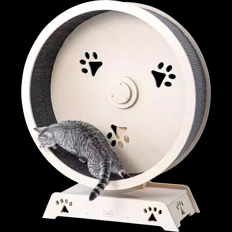 Cat Treadmill – Interactive Exercise Wheel for Indoor Cats-Petboxok