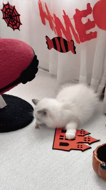 Red Heart Sisal Cat Tree Tower