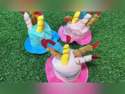Pet birthday hat toys cat dog new year gift toys