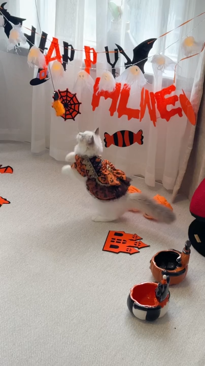 Halloween-Themed Pet Apparel