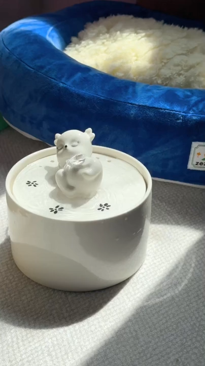 Pet Water Fountain