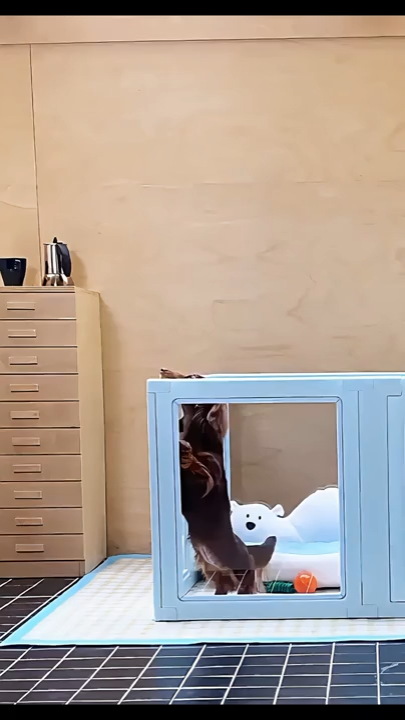 Indoor Transparent Pet Barrier