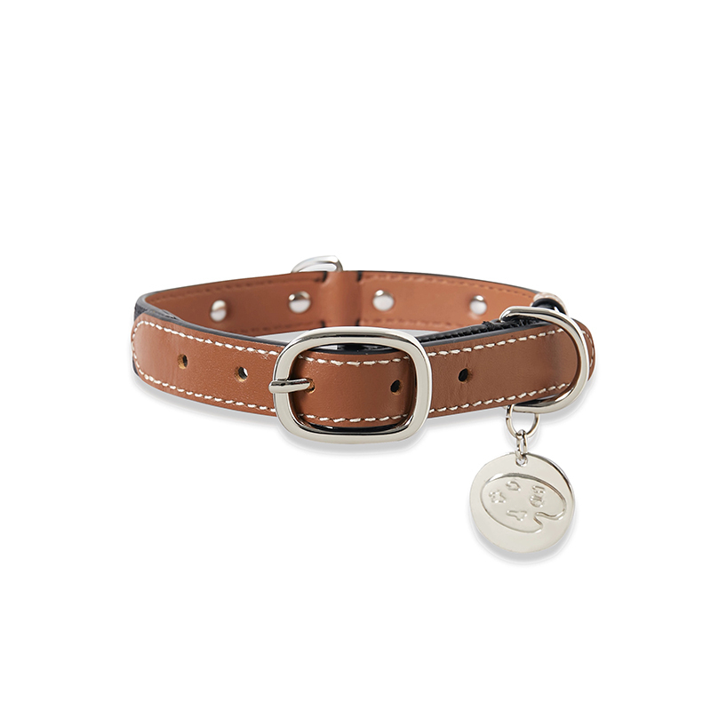 Studded Genuine Leather Collar with Leash